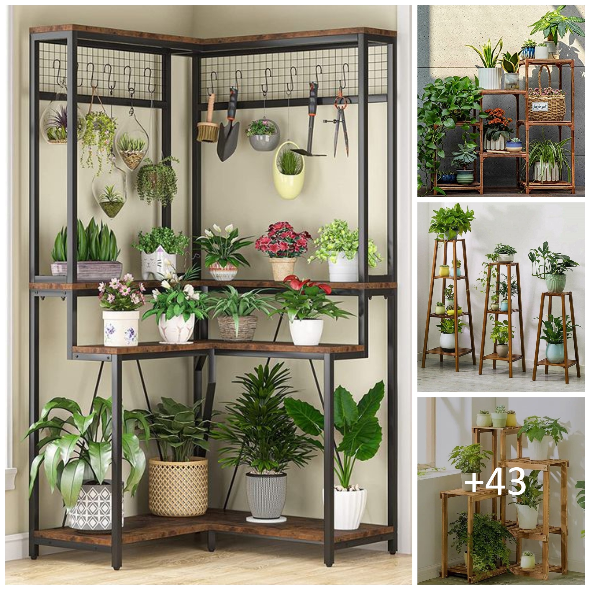 Amazing Indoor Plant Stands