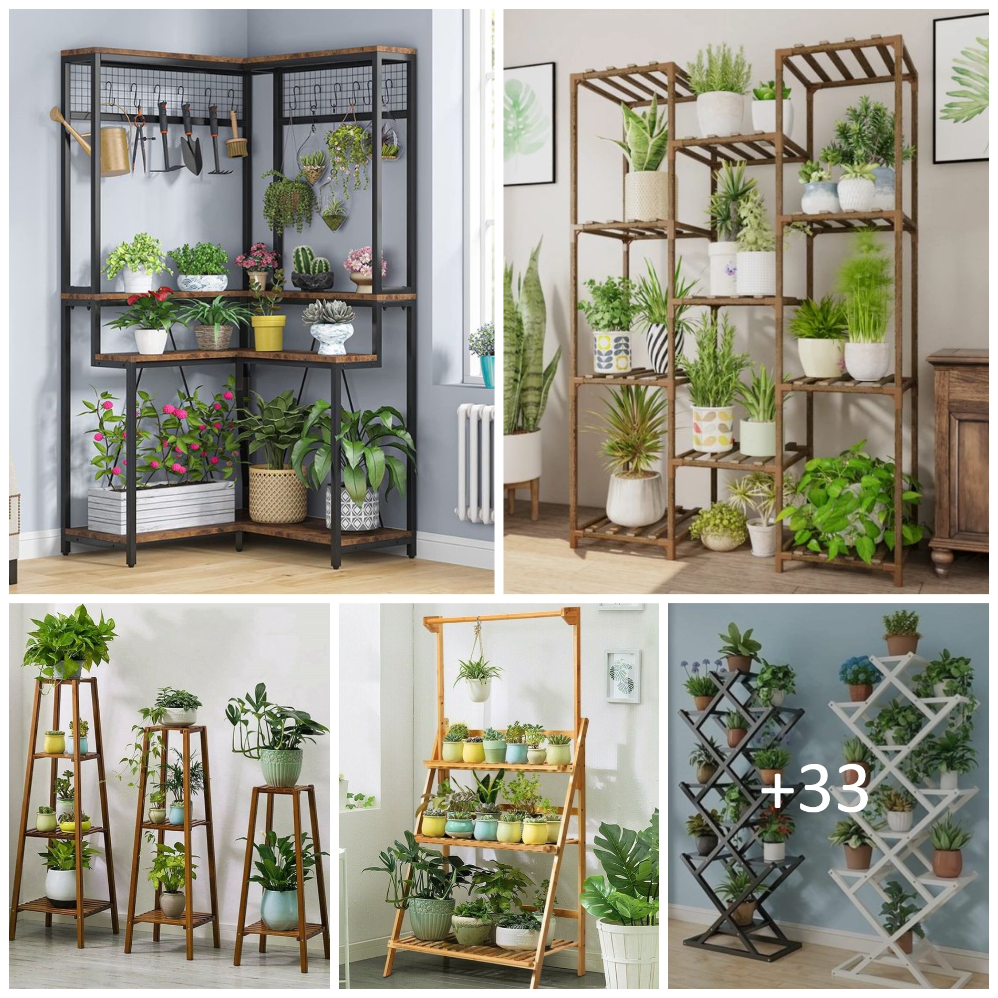 The Best Plant Stands for Every Style