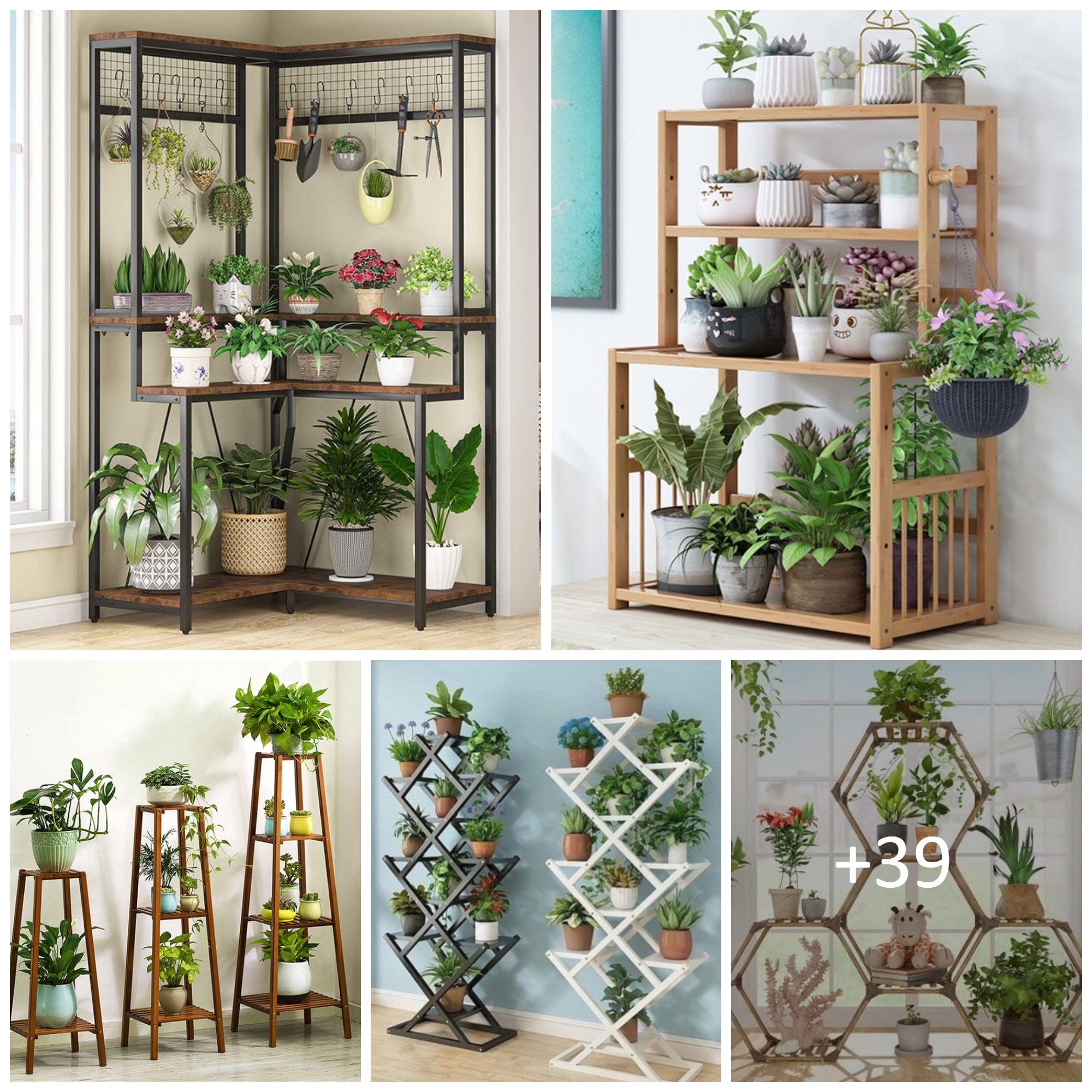 Beautiful Indoor Plant Stands