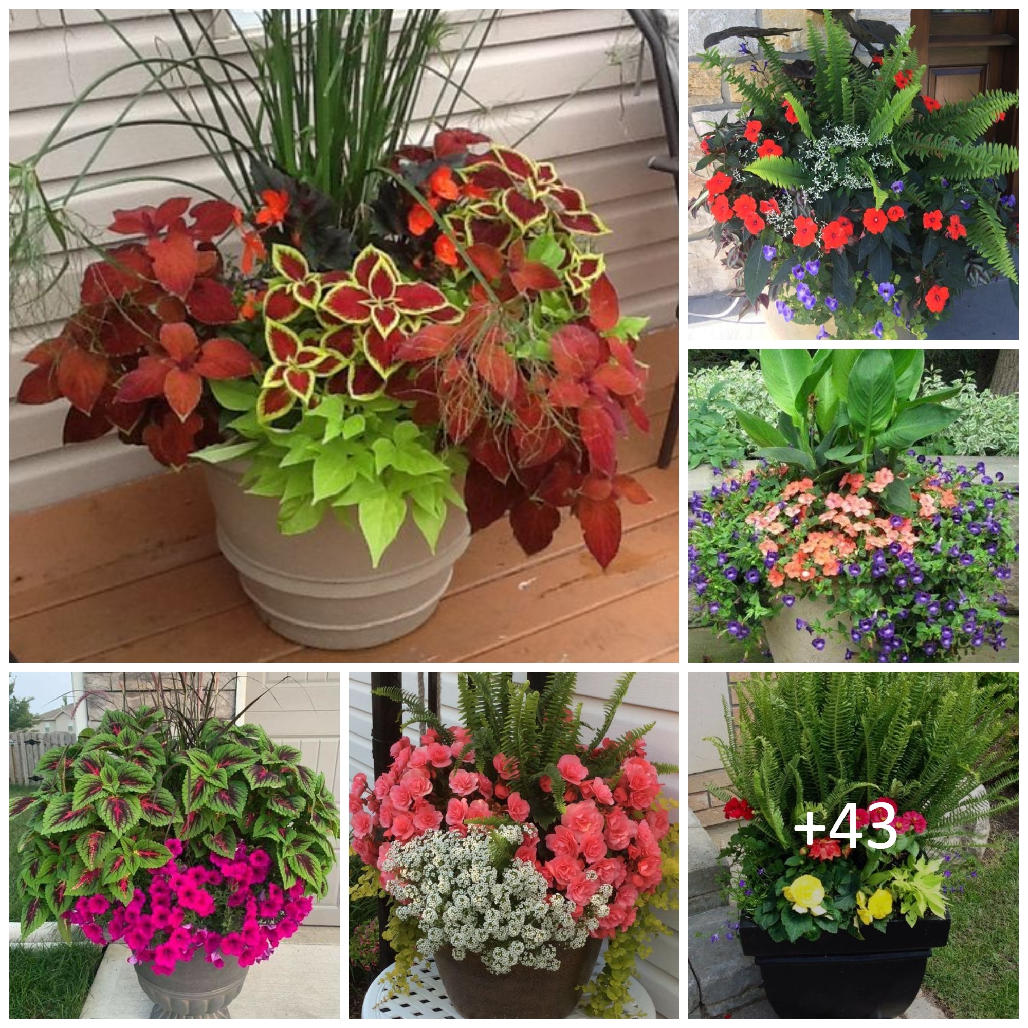 Beautiful Container Garden Planting Ideas