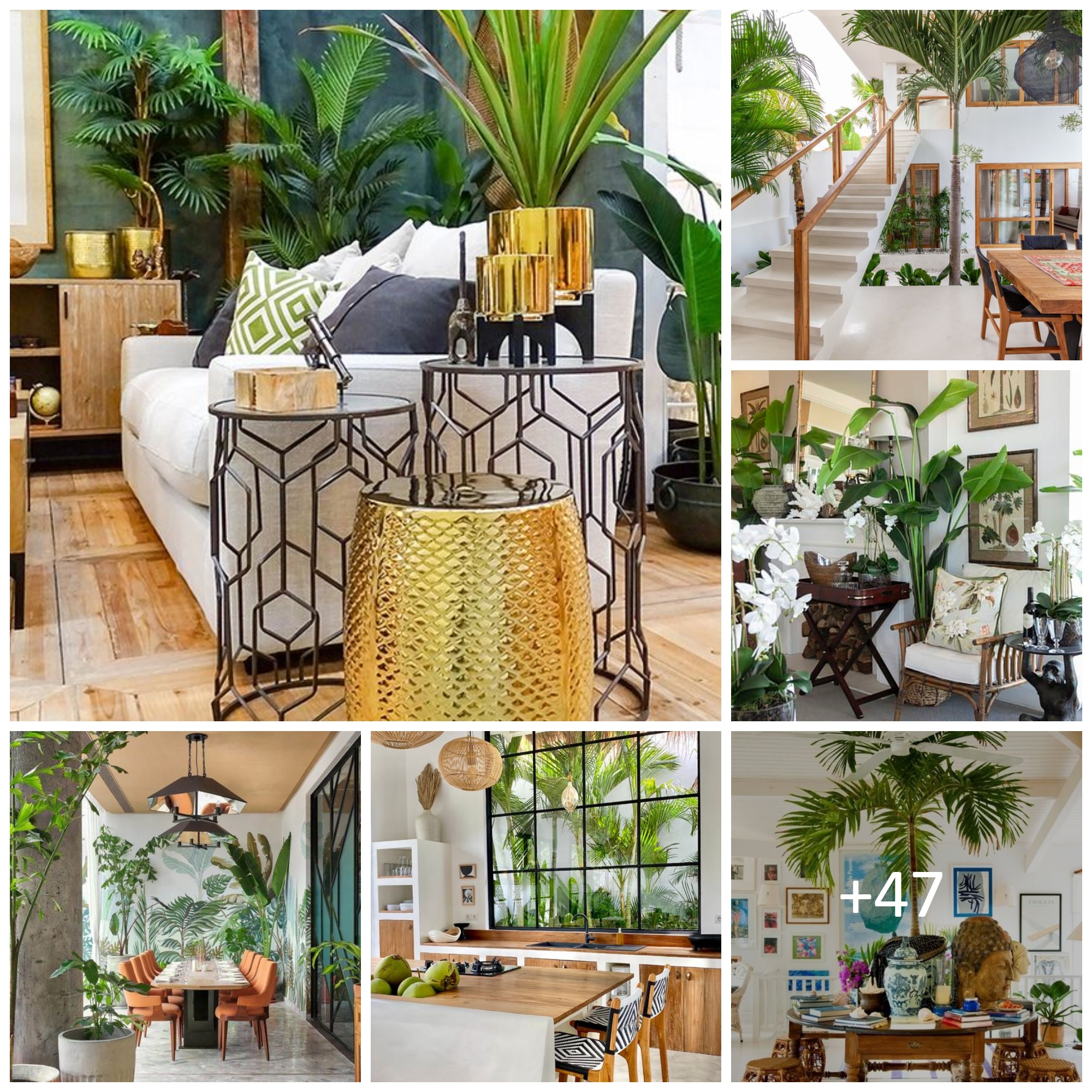 Tropical Interior Design Ideas