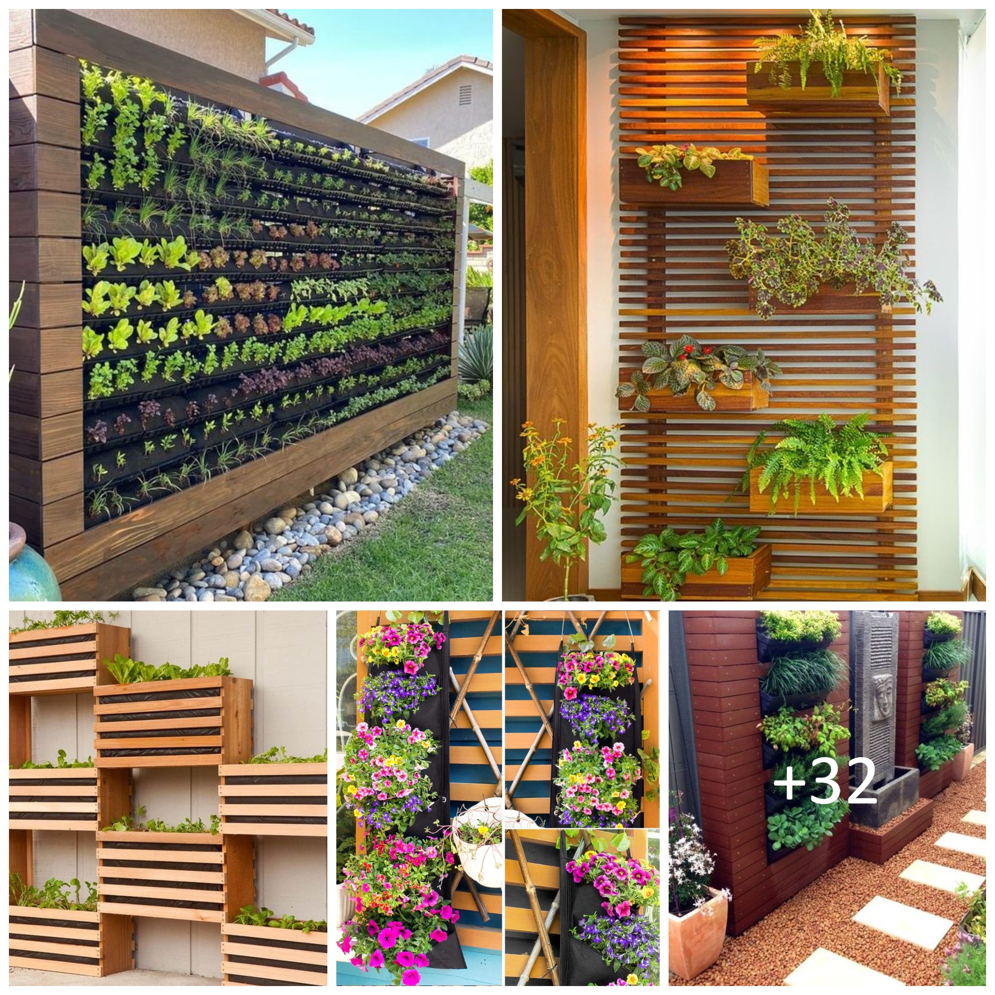 Vertical garden ideas for showing off your favorite houseplants
