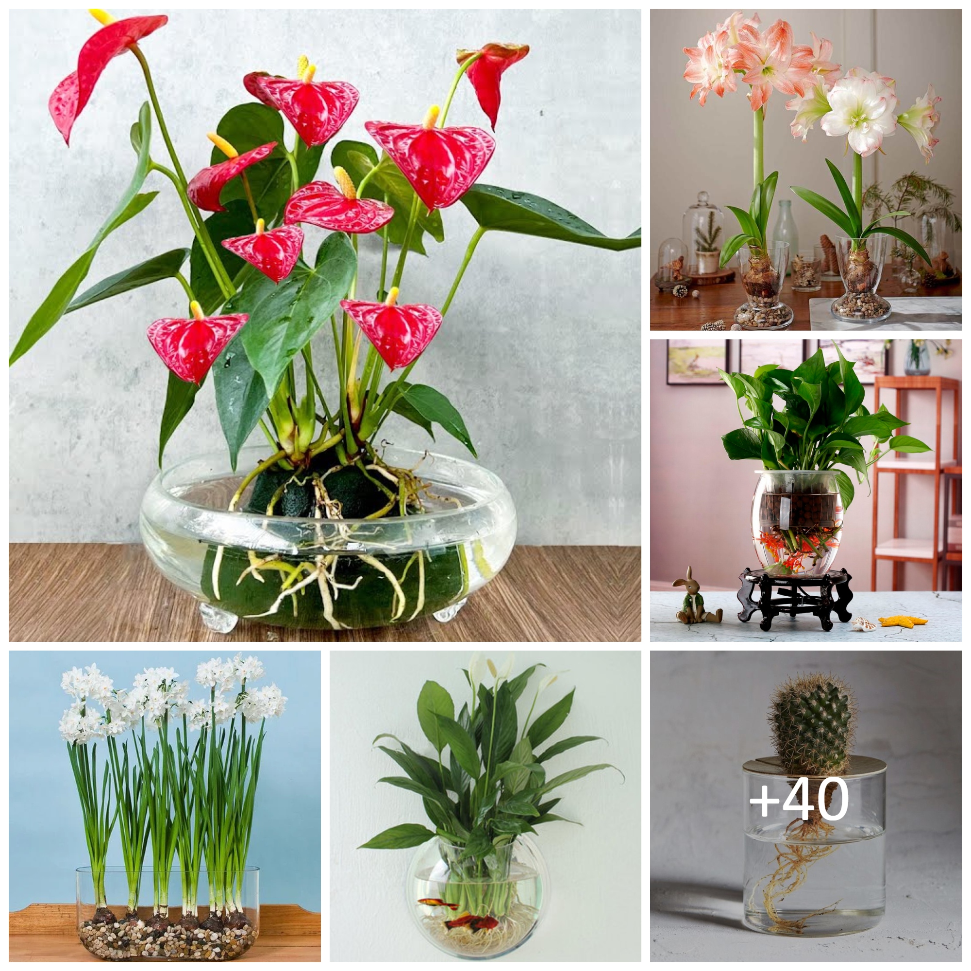 Plants You Can Easily Grow In Water