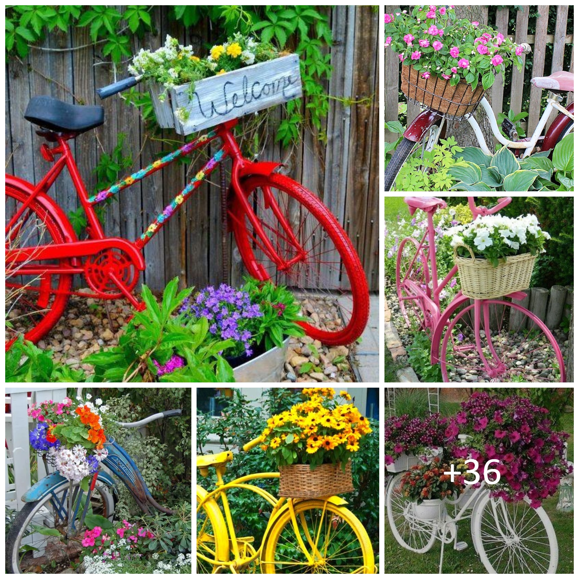 Cute Bicycle Planter Ideas