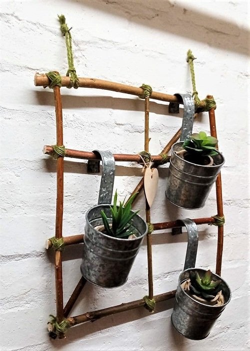 Quirky Ways to Hang Houseplants 10