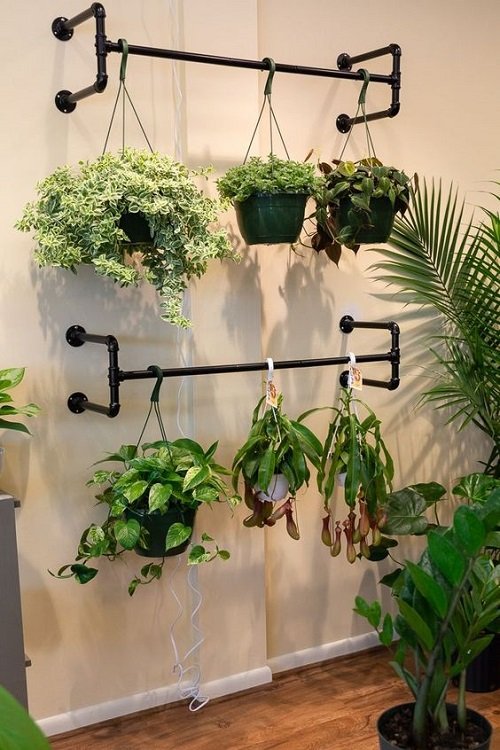 Quirky Ways to Hang Houseplants 18