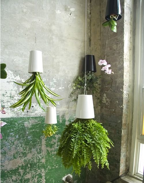 Quirky Ways to Hang Houseplants 20