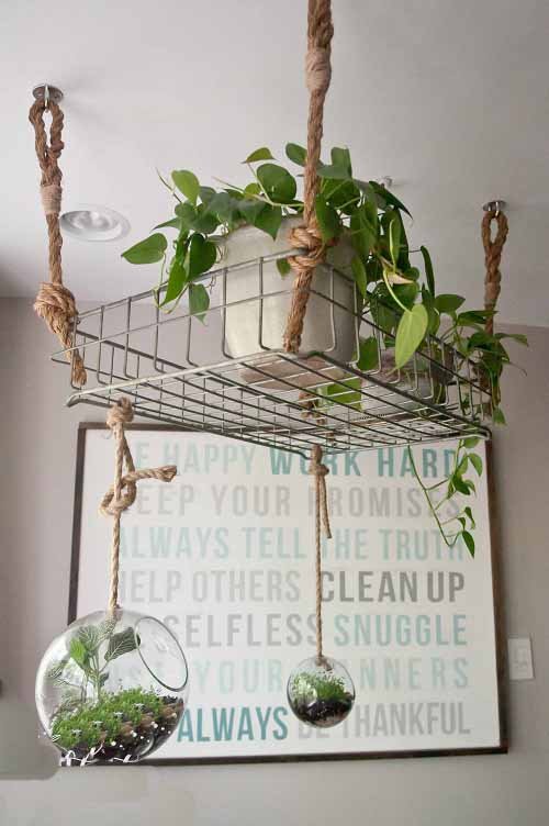 Quirky Ways to Hang Houseplants 1