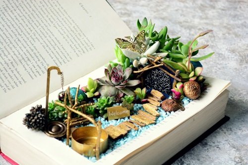 Succulent garden made from unusual items 9