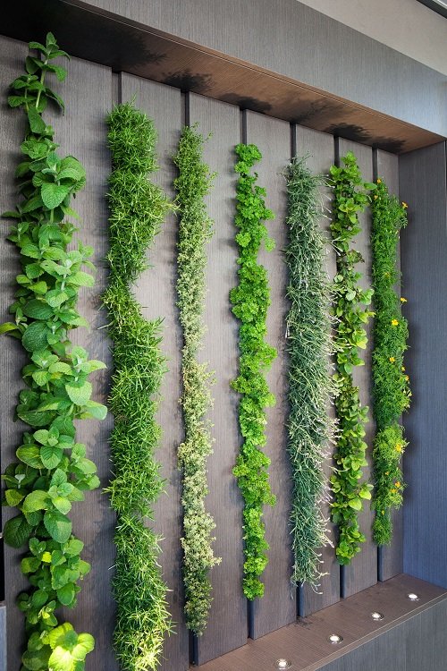 Ways to Create an Indoor Vertical Garden 3