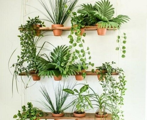 Ways to Create an Indoor Vertical Garden 9