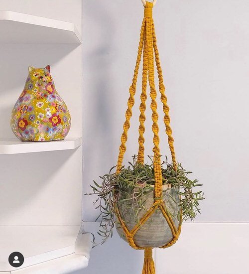 Best Hanging Succulents