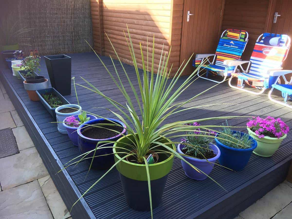 Wood deck plants deck chairs