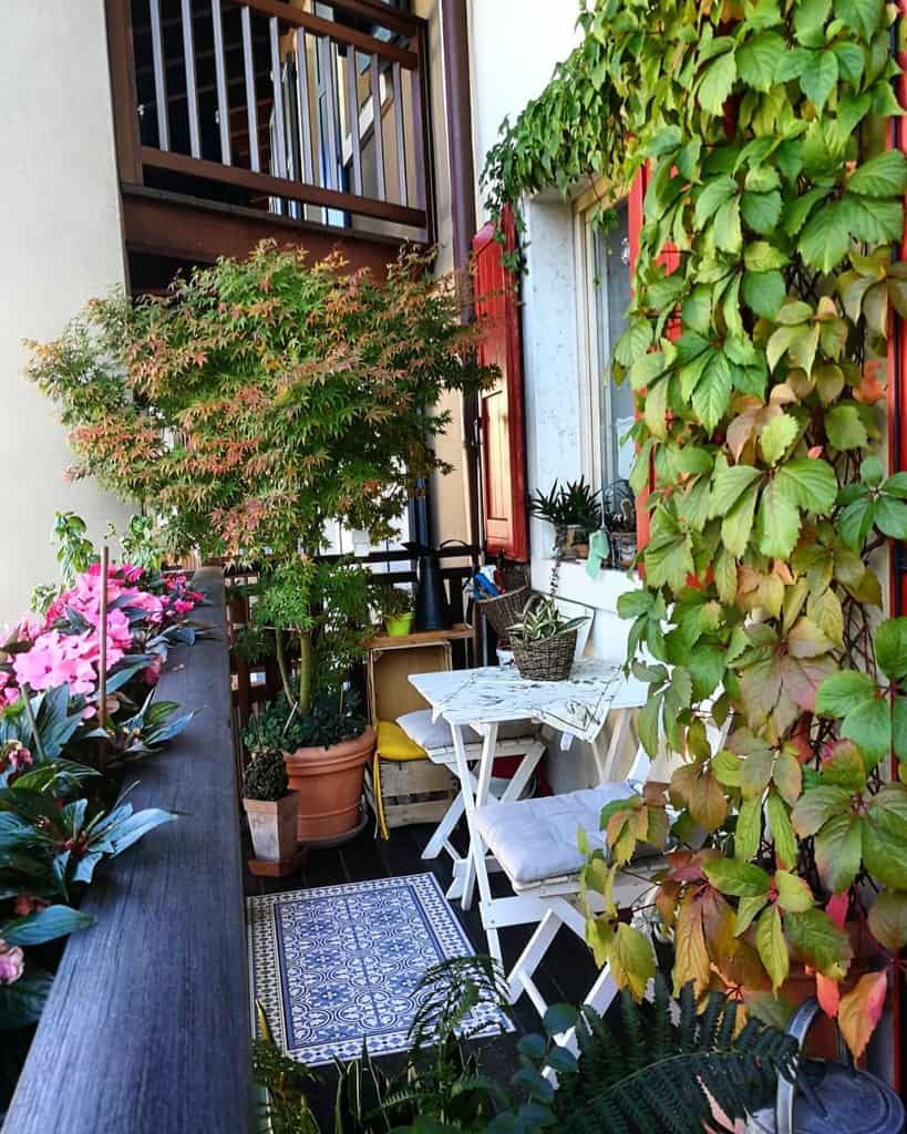 small cover potted plants, white chairs