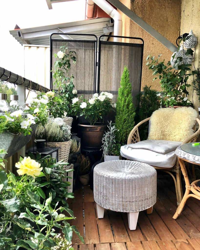 Small potted plants with silver cushions on wooden deck 