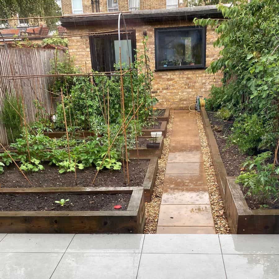 small vegetable garden in the backyard 