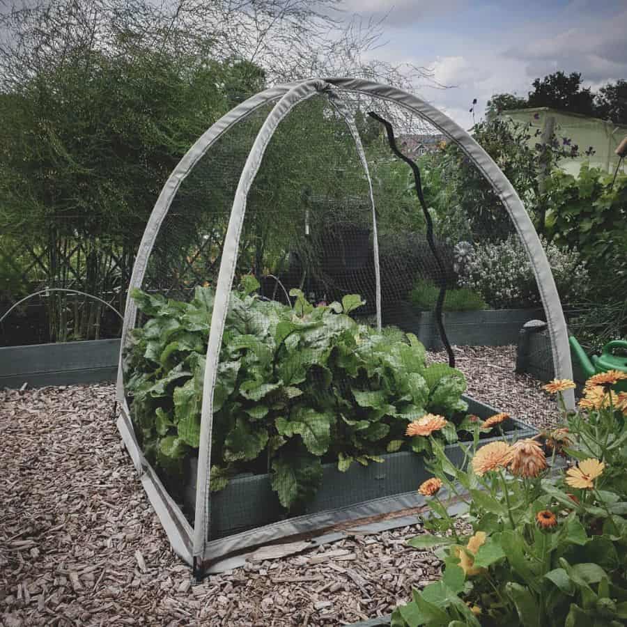 small screen around the vegetable garden 