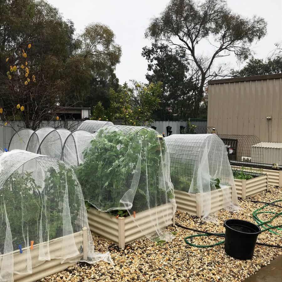 Net covers over the backyard vegetable garden 