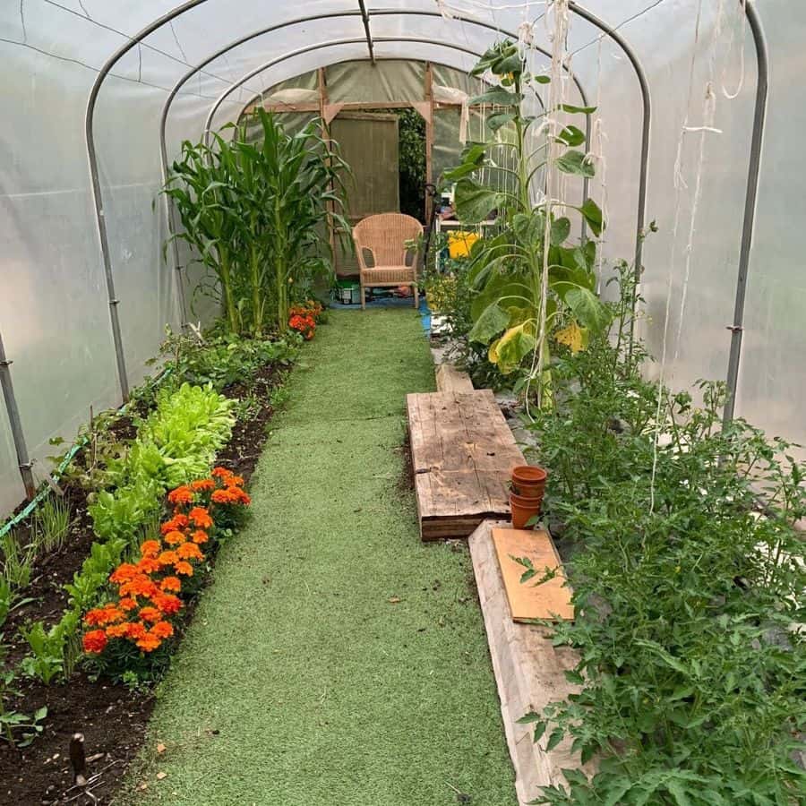 narrow backyard greenhouse vegetable garden