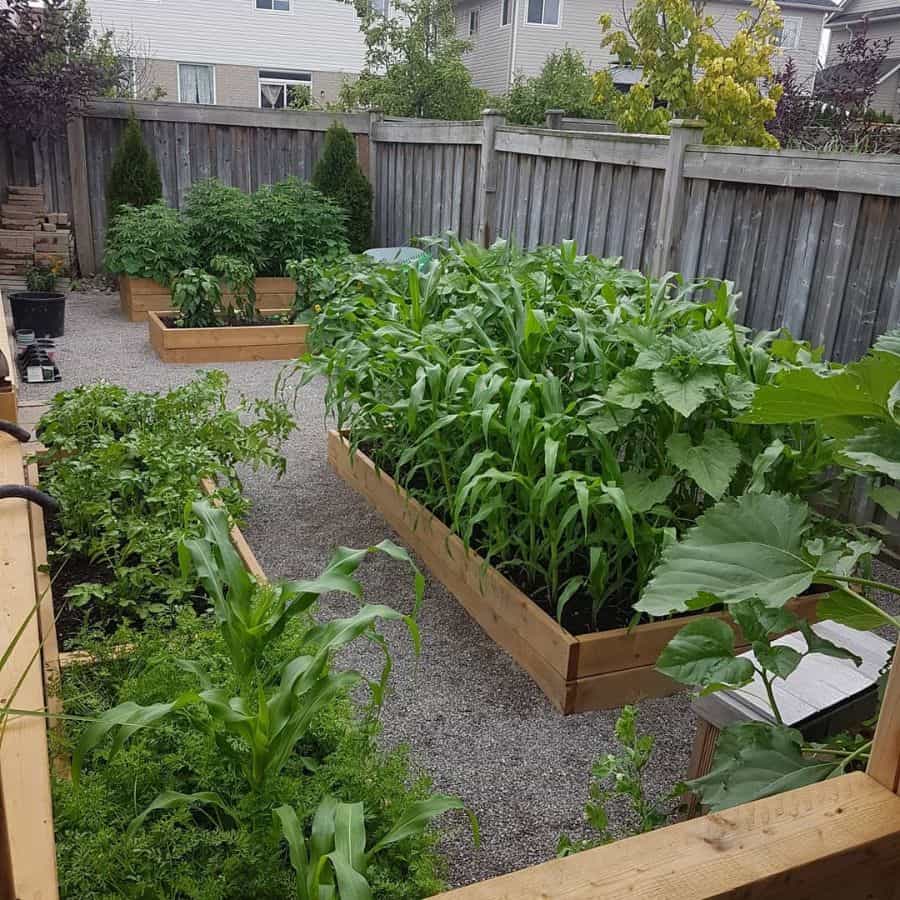 Clever garden vegetable layout