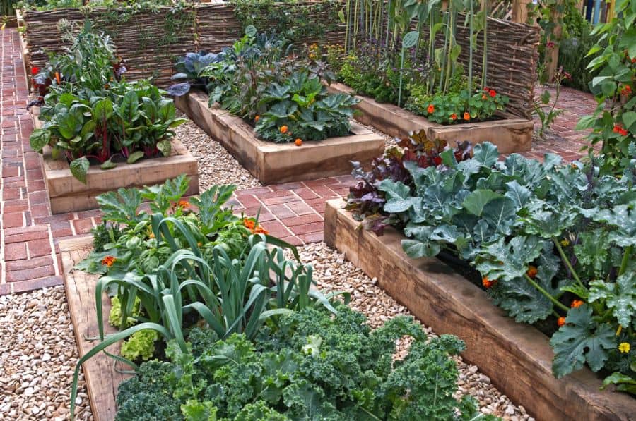 Arrangement of wooden planters for vegetable garden boxes