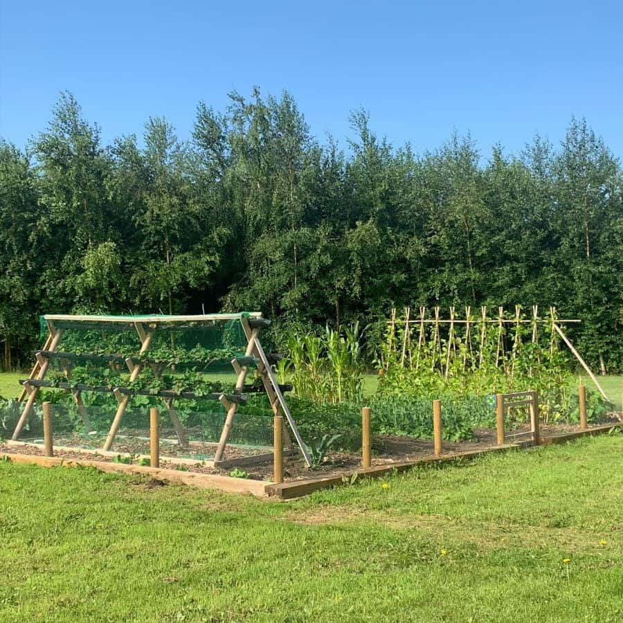 large outdoor vegetable patch 