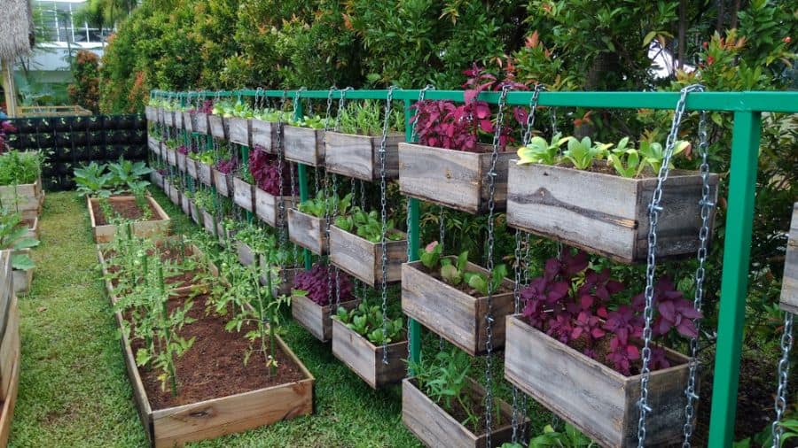 Hanging planter boxes for the vegetable garden