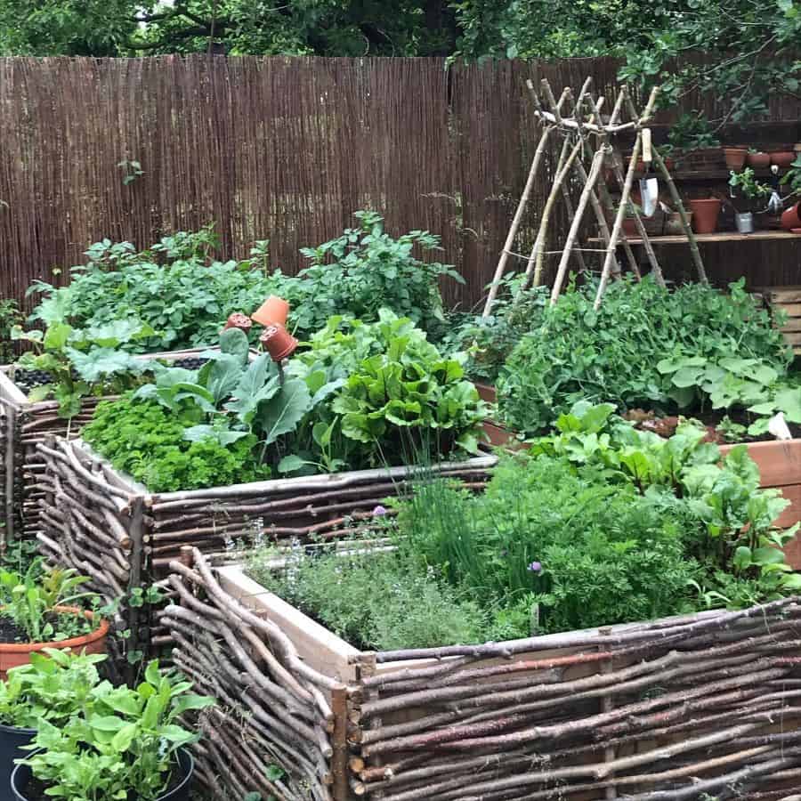 Raised beds for the vegetable garden made of wood