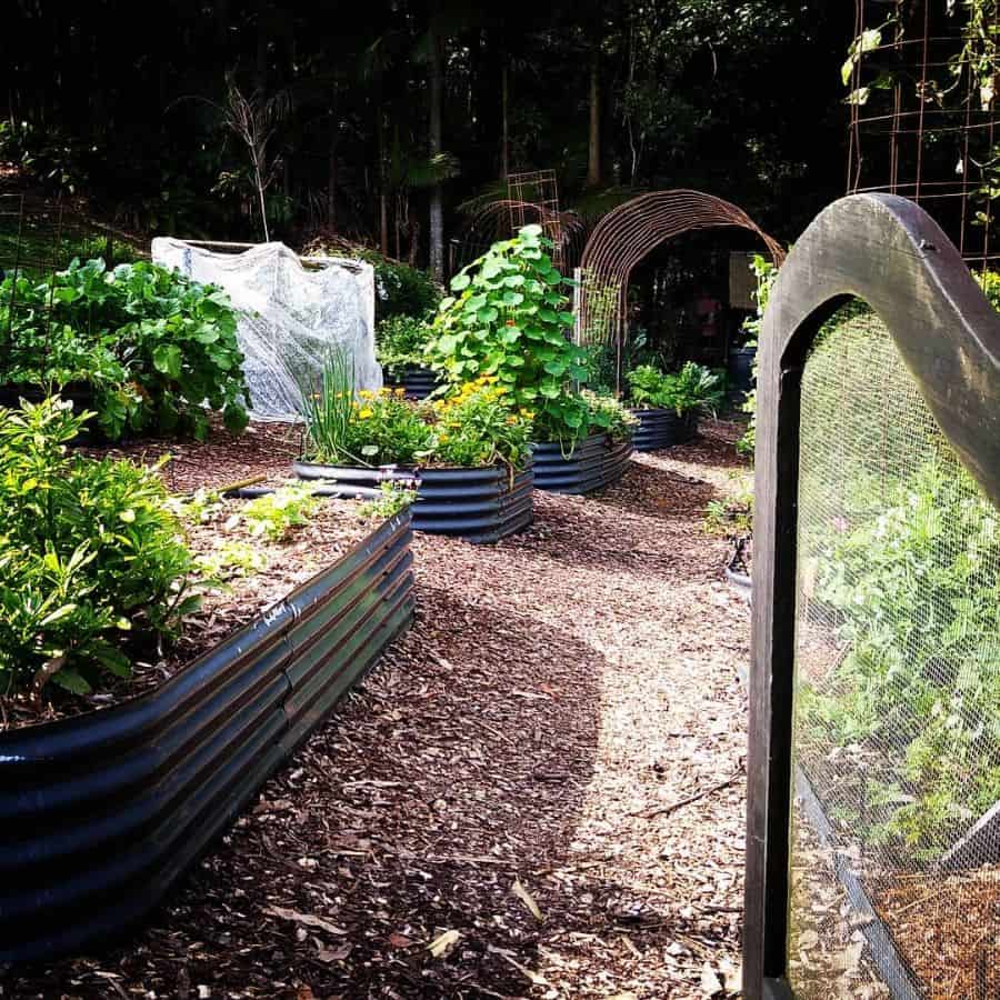 Aluminum raised bed vegetable garden