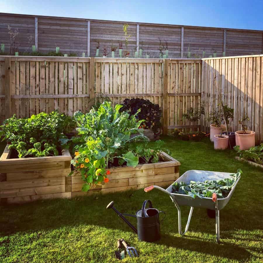 Raised wooden planter box for the vegetable garden