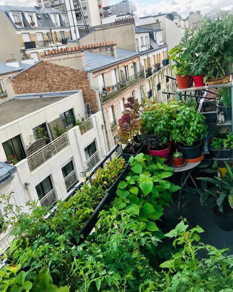 Balcony vegetable garden Europe