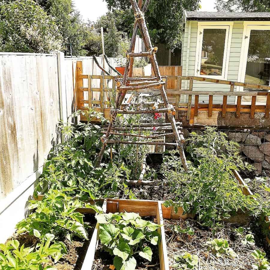 small vegetable garden 