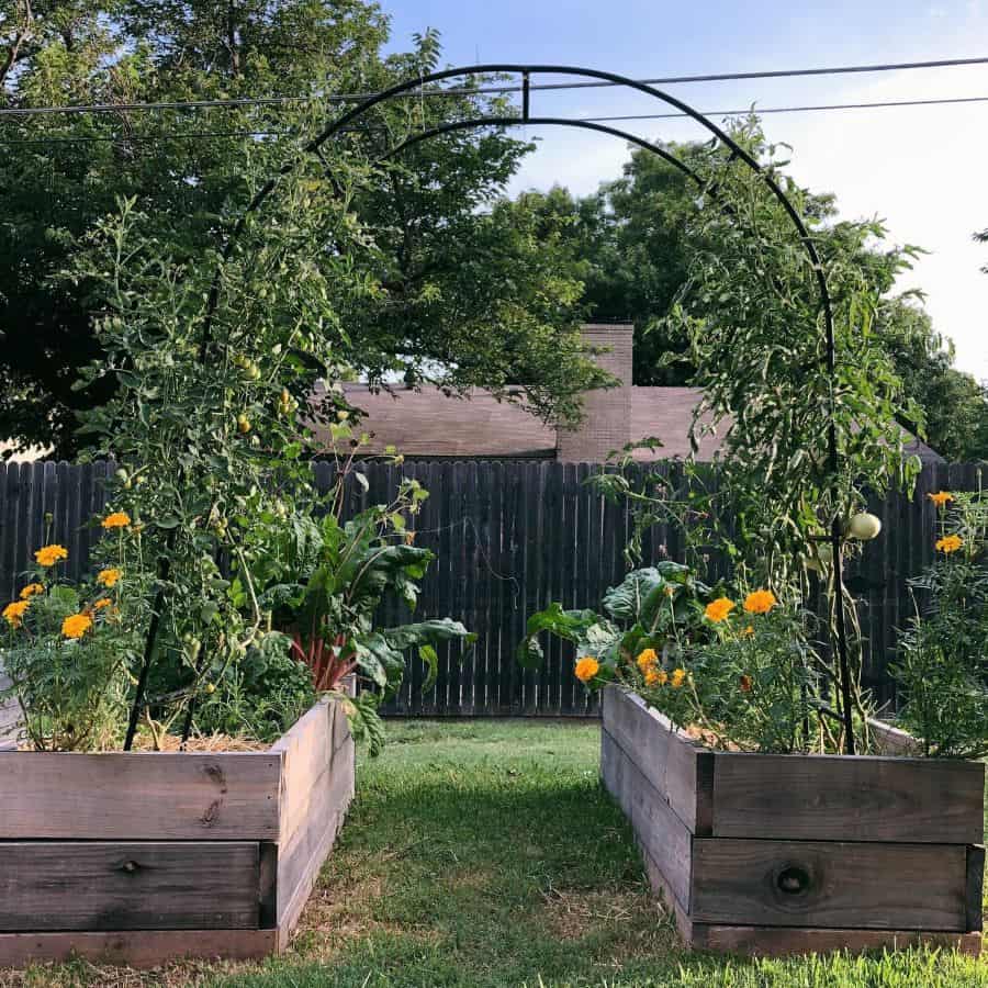 Wooden trellis vegetable garden planters