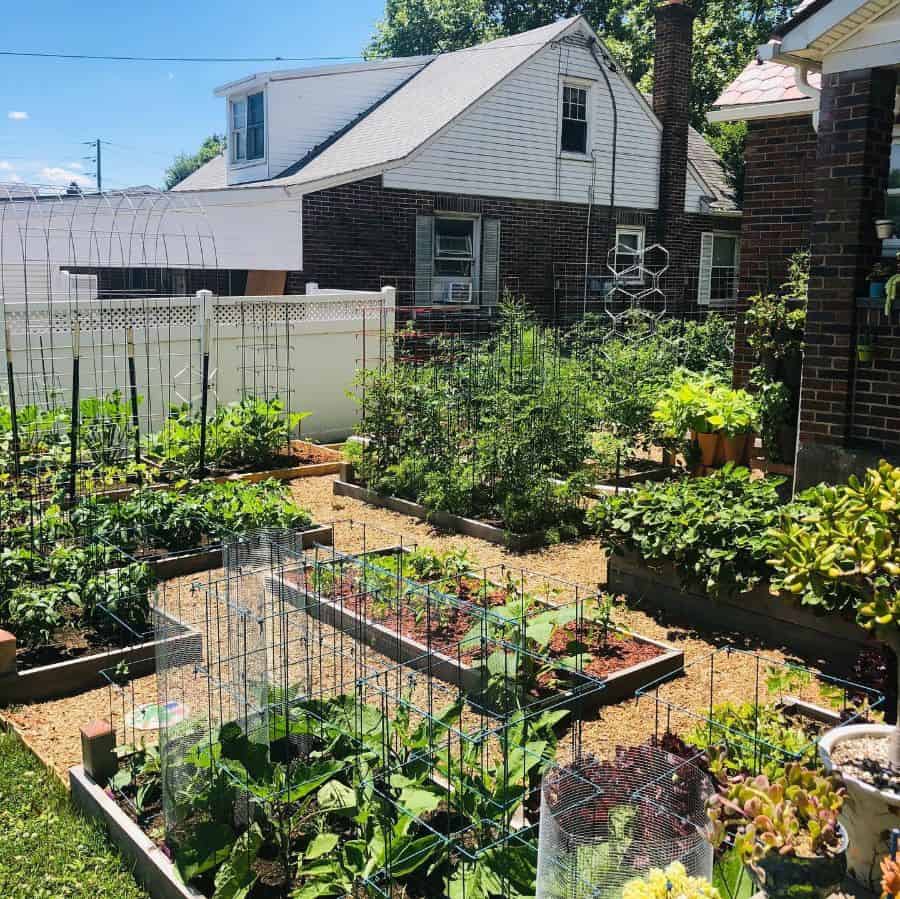 Espalier large vegetable garden