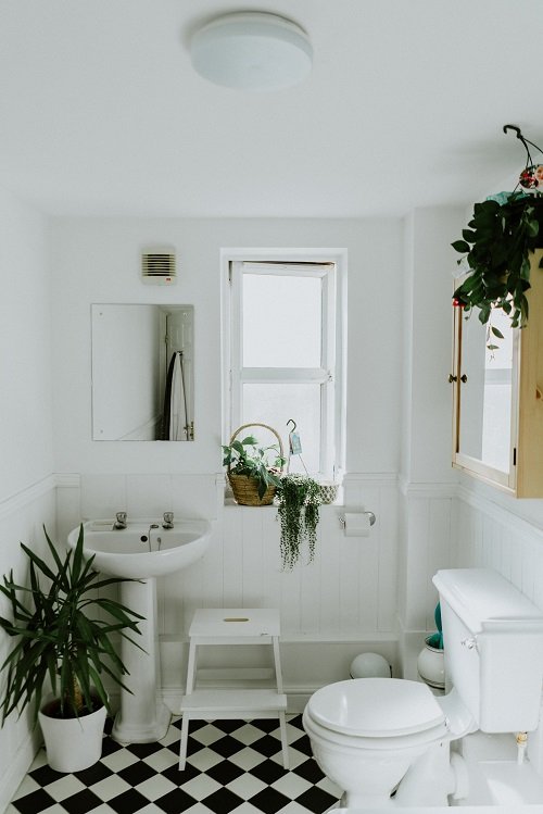 Plants around the toilet seat in the bathroom 3