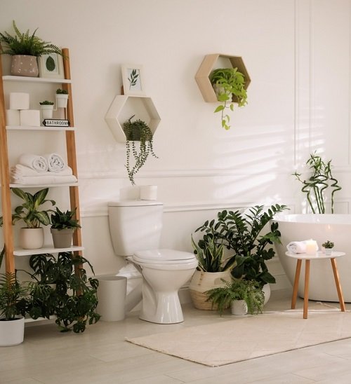 Plants around the toilet seat in the bathroom 15