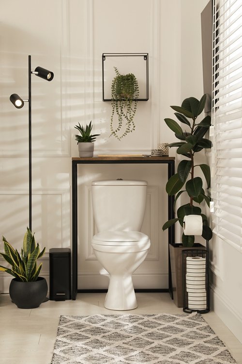 Plants around the toilet seat in the bathroom 30