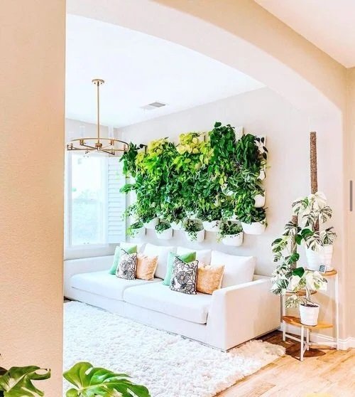 Wall behind the sofa decoration ideas with plants 3