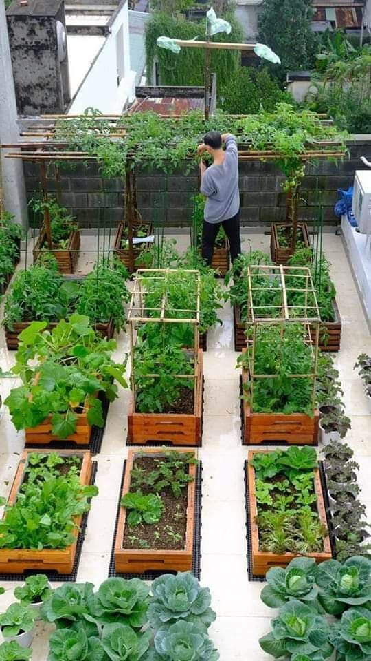 Gardening in raised beds
