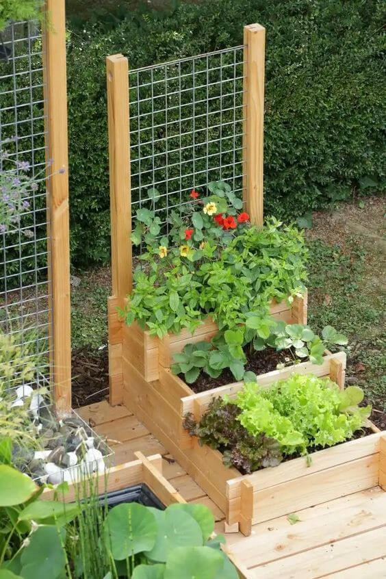 Raised planting grid for vegetables