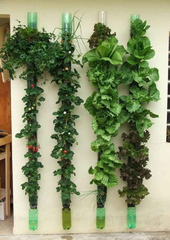 Indoor gardening in a prefab home