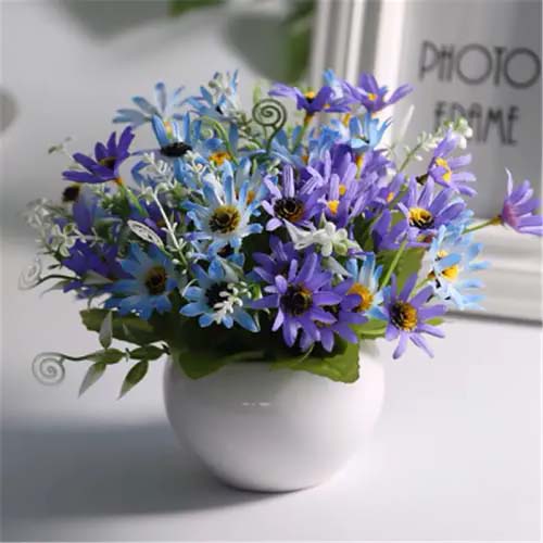 Blue daisies for growing in containers #blue flowers #gardencontainers #decorhomeideas