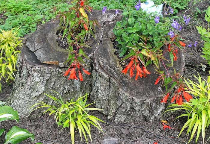 Aged natural stumps #decorhomeideas