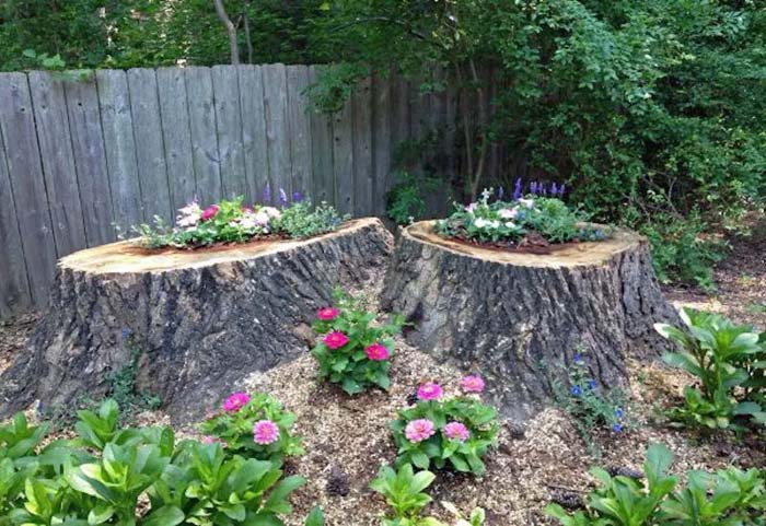 Fresh double tree stumps #decorhomeideas