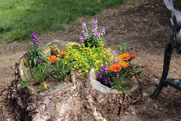 Wildflower station #decorhomeideas