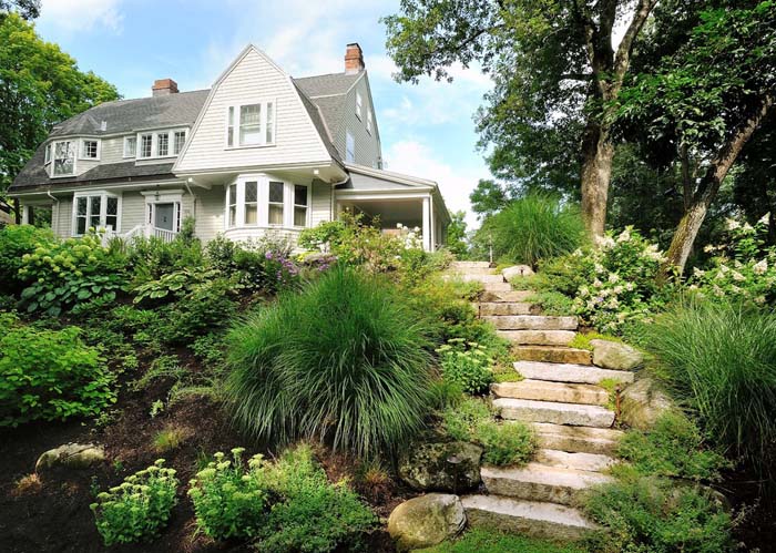 Add locally found plants #hillsidelandscaping #budget #decorhomeideas