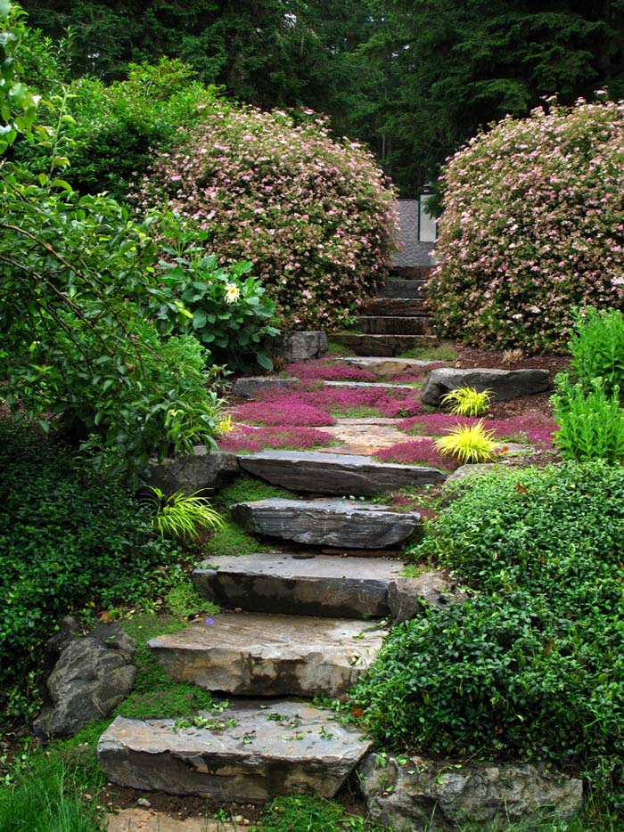 Easy transition steps #hillsidelandscaping #budget #decorhomeideas