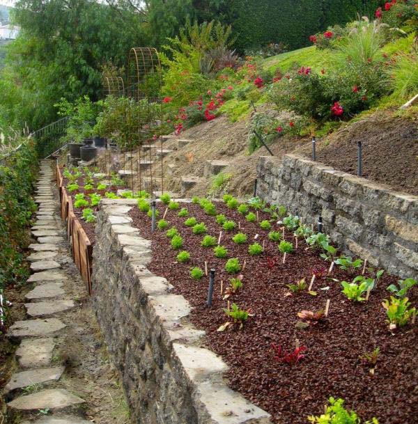 Raised beds for the garden #hillsidelandscaping #budget #decorhomeideas