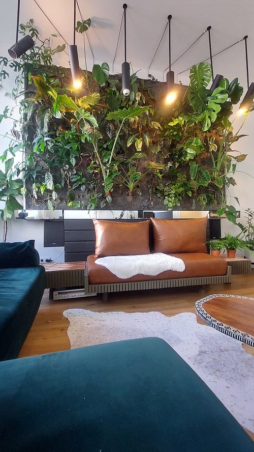Ideas for the wall behind the sofa with plants 1
