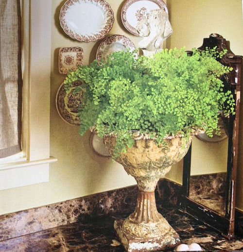 36 Incredible Houseplant Centerpiece Ideas Every Plant Grower Should See 2